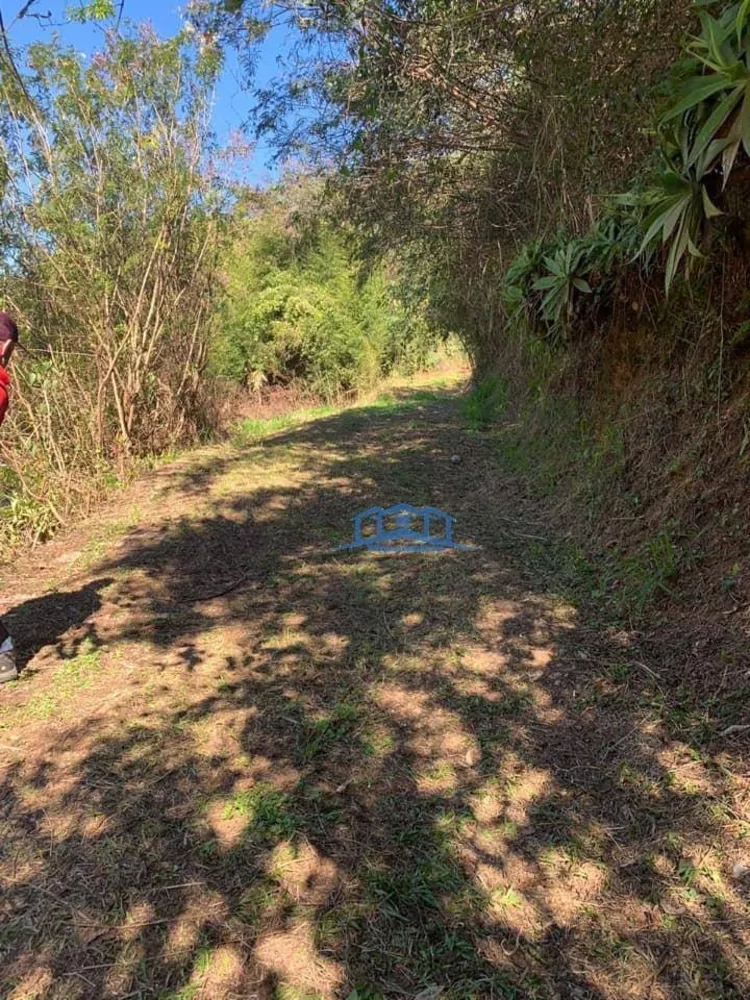 Casa, 17 quartos, 400 m² - Foto 5