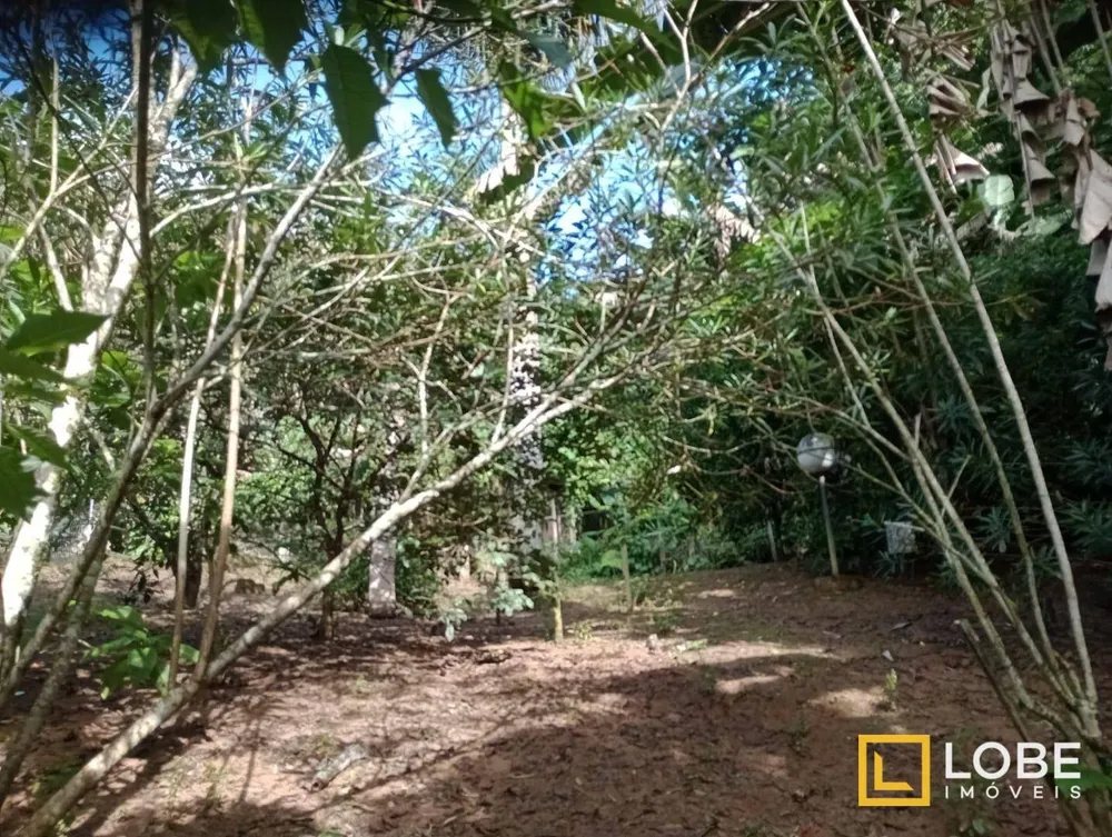 Chácara, 4 quartos, 4377 m² - Foto 14