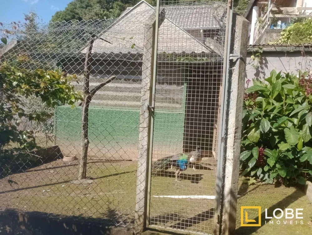 Chácara, 4 quartos, 4377 m² - Foto 10