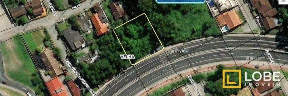 Terreno, 1003 m² - Foto 6