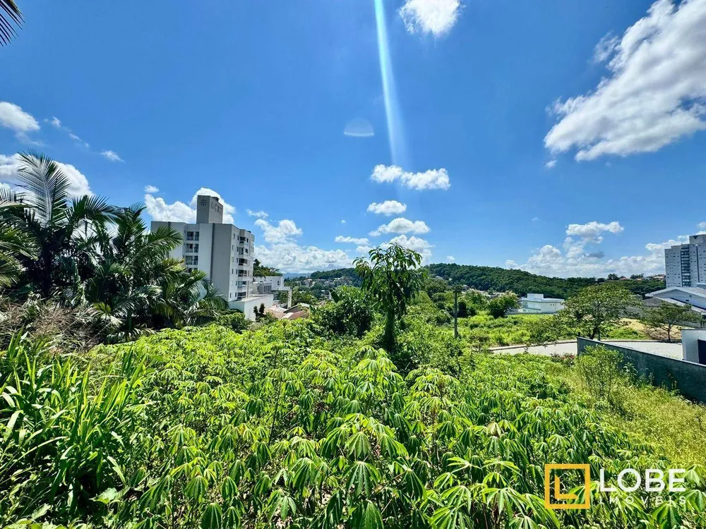 Terreno, 976 m² - Foto 4