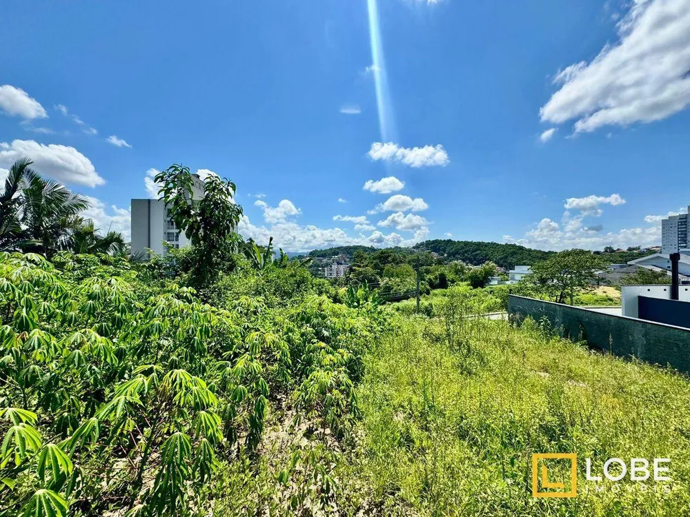 Terreno, 976 m² - Foto 6