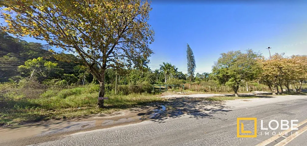 Terreno, 4 hectares - Foto 6