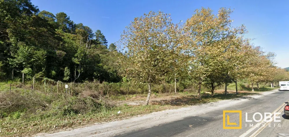 Terreno, 4 hectares - Foto 2