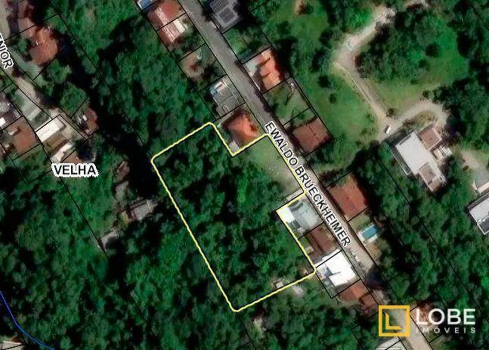 Terreno, 5236 m² - Foto 3