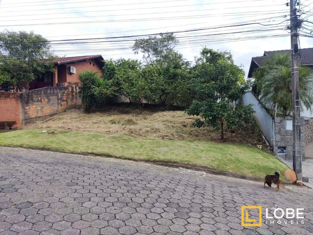 Terreno, 564 m² - Foto 10