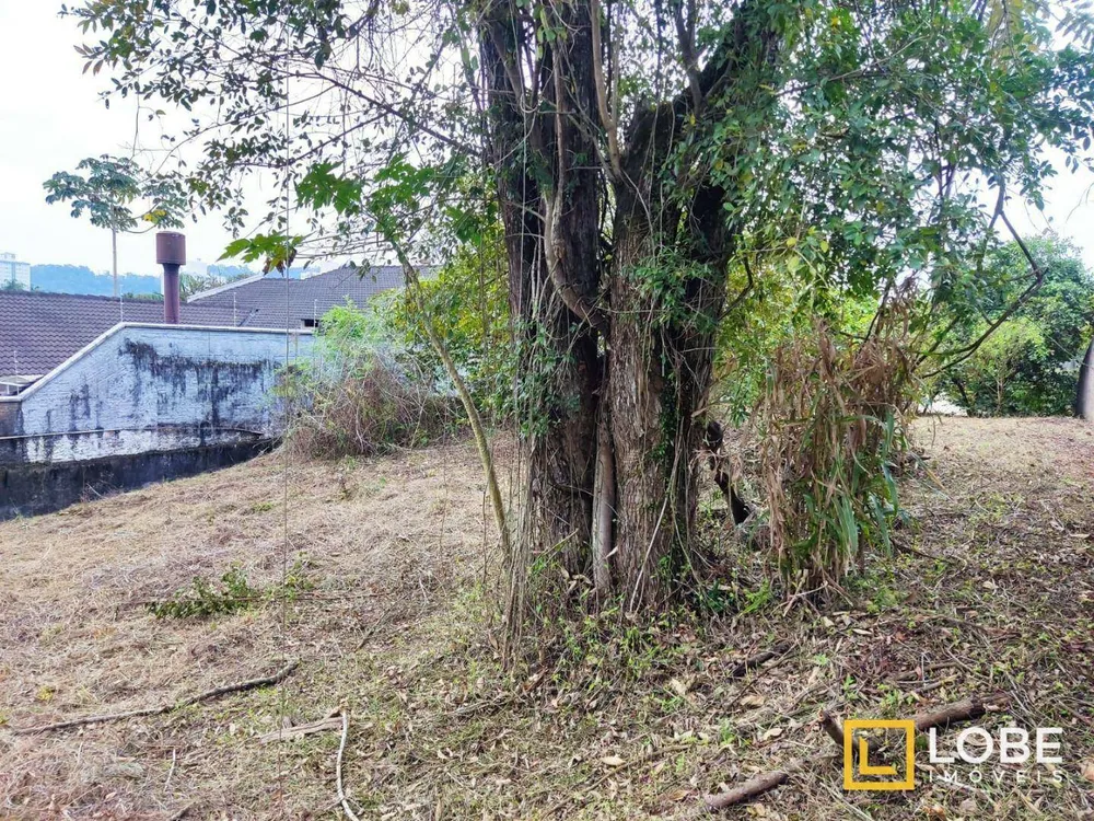 Terreno, 564 m² - Foto 19