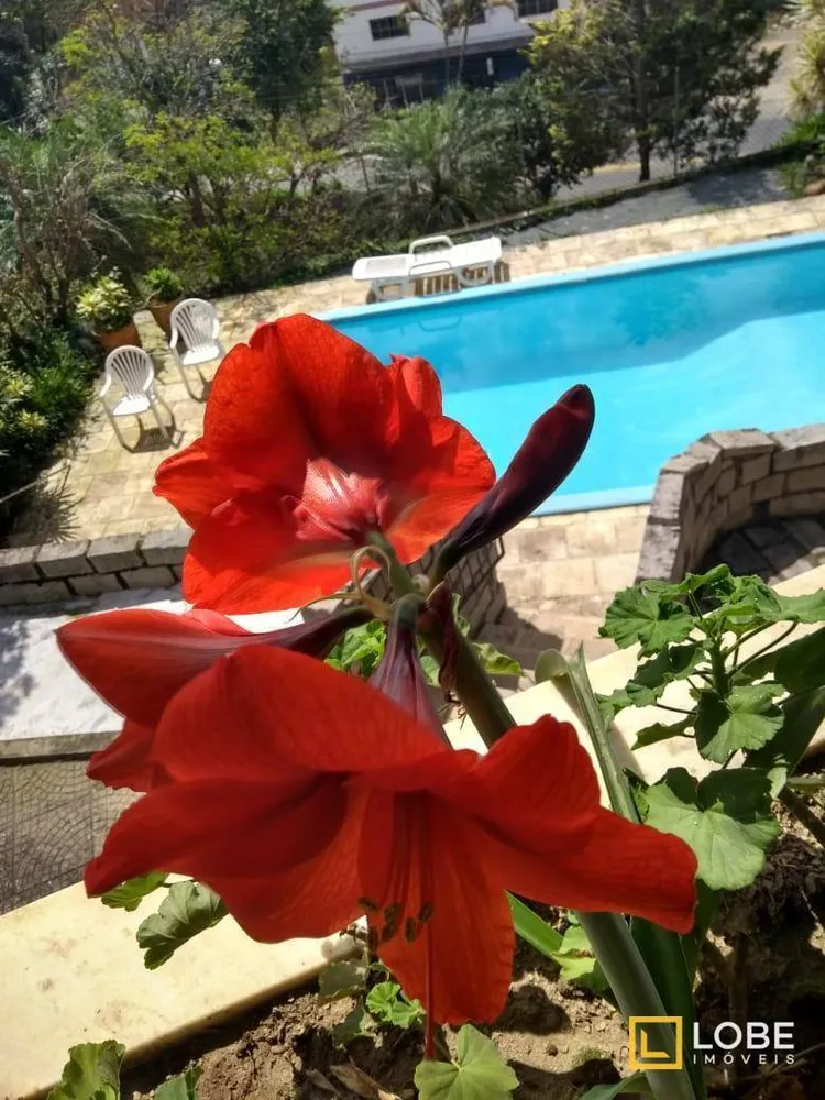 Casa, 5 quartos, 475 m² - Foto 14