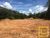 Terreno, 1 hectares - Foto 1
