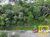 Terreno, 1461 m² - Foto 3
