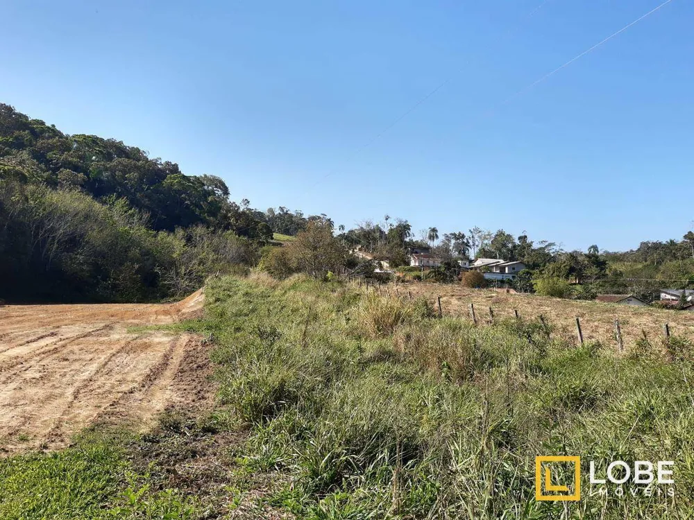 Terreno, 5 hectares - Foto 3
