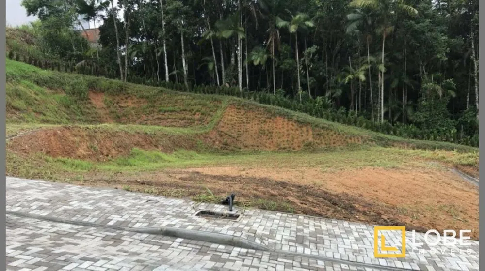 Terreno, 236 m² - Foto 6