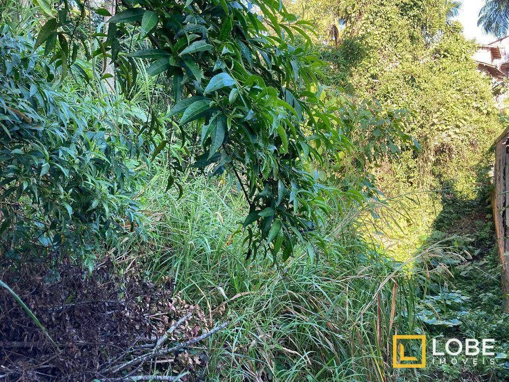 Terreno, 2 hectares - Foto 7