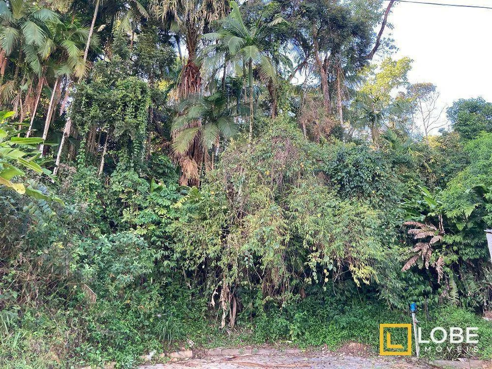 Terreno, 2 hectares - Foto 8
