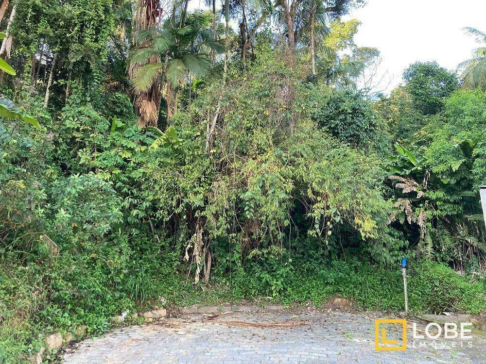 Terreno, 2 hectares - Foto 4