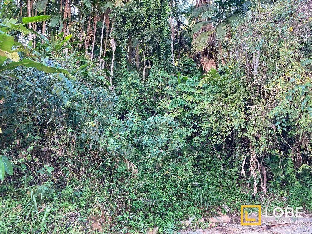 Terreno, 2 hectares - Foto 6