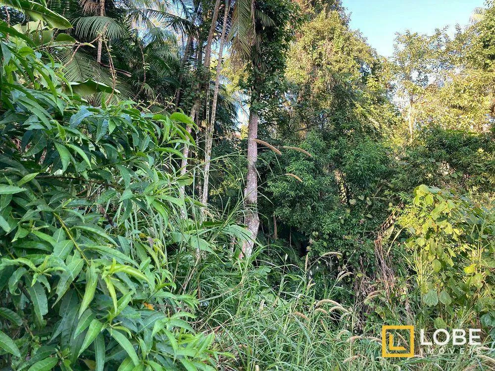 Terreno, 2 hectares - Foto 1