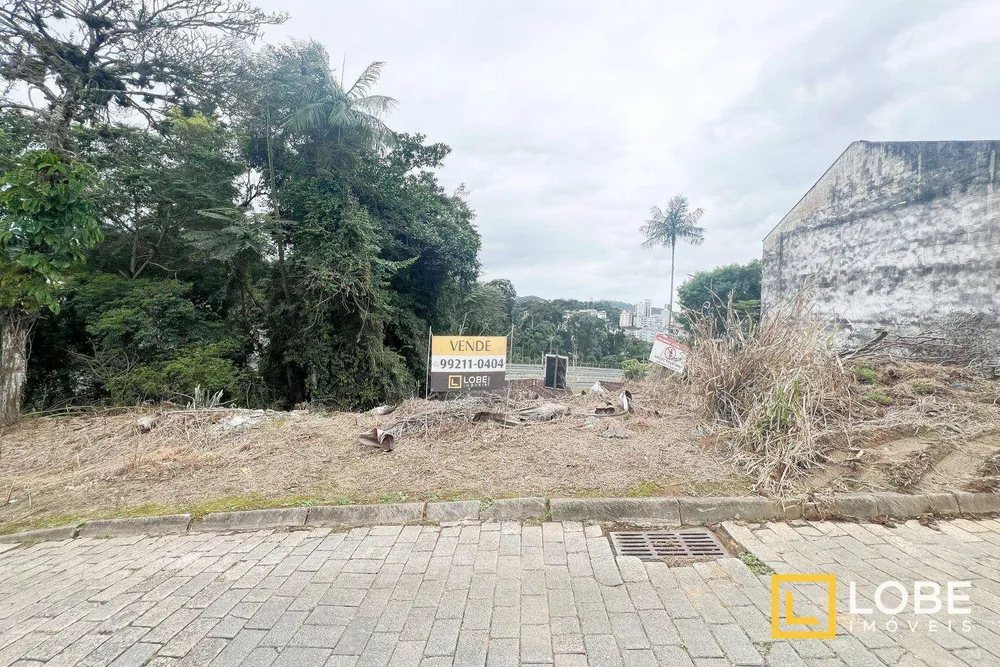 Terreno, 546 m² - Foto 3