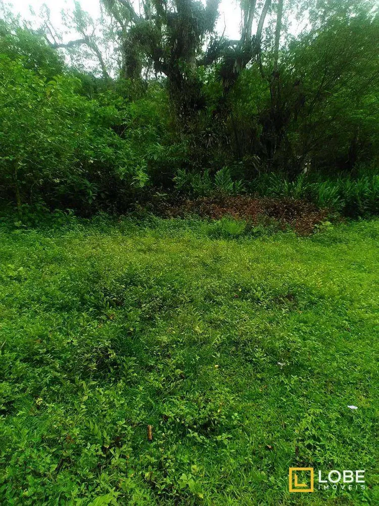 Terreno, 1032 m² - Foto 6