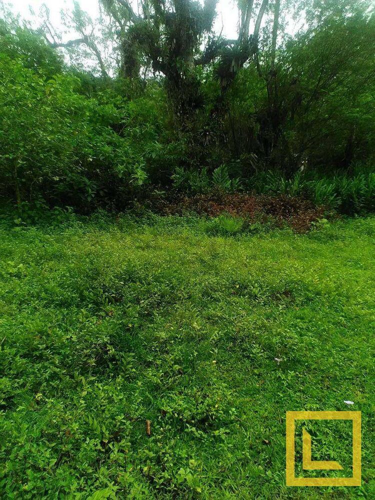 Terreno, 1032 m² - Foto 3