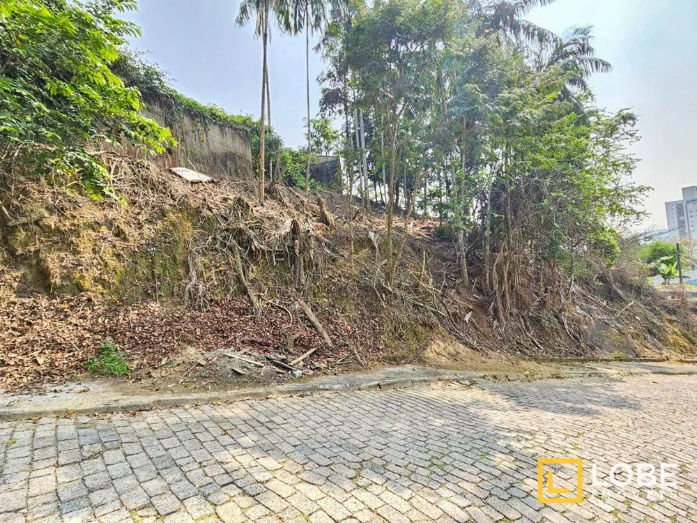 Terreno, 1447 m² - Foto 3
