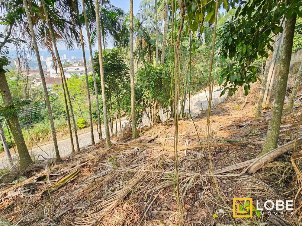 Terreno, 1447 m² - Foto 4