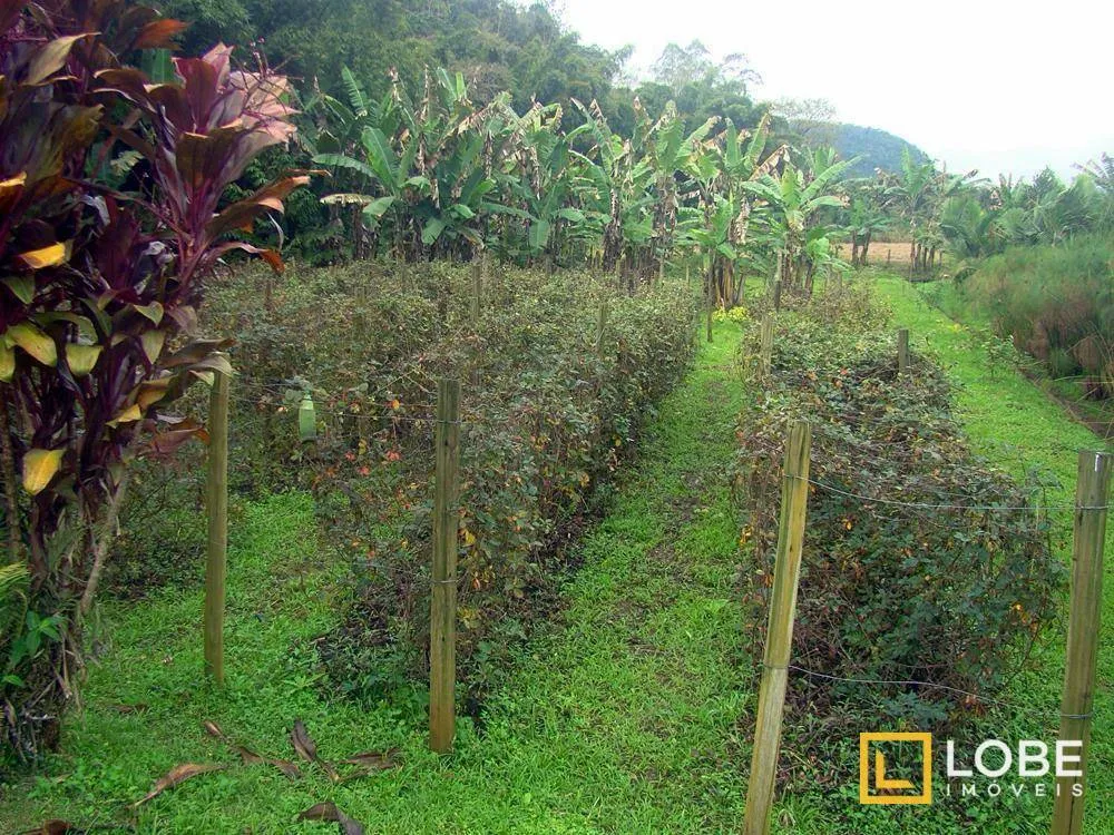 Terreno, 5 hectares - Foto 1