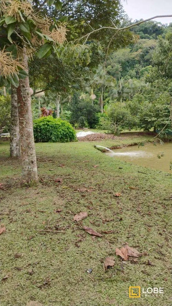 Terreno, 5 hectares - Foto 2