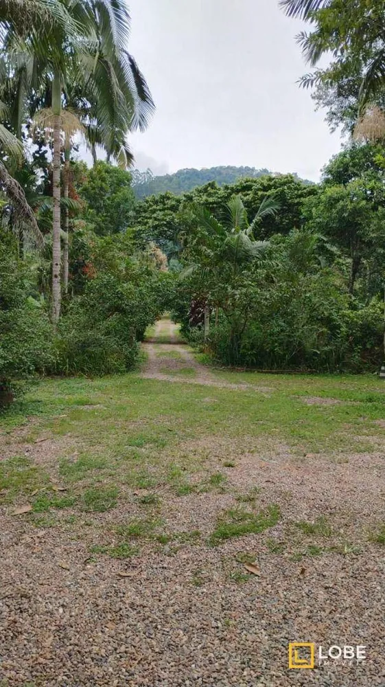 Terreno, 5 hectares - Foto 12