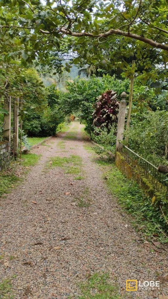 Terreno, 5 hectares - Foto 6