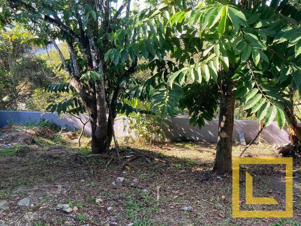 Casa, 3 quartos, 364 m² - Foto 6