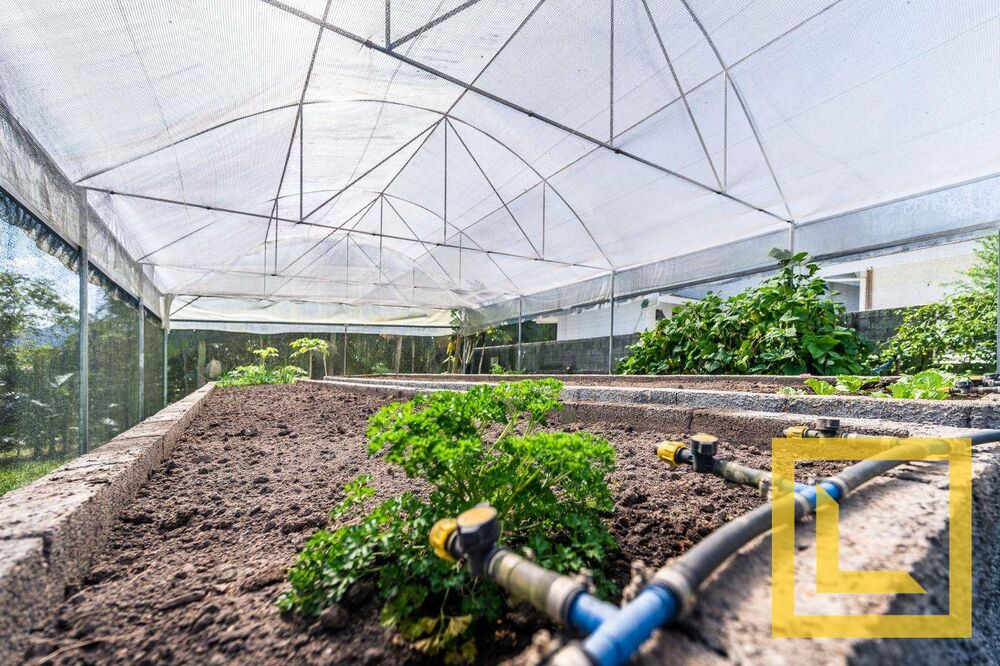 Sítio, 3 quartos, 5 hectares - Foto 6