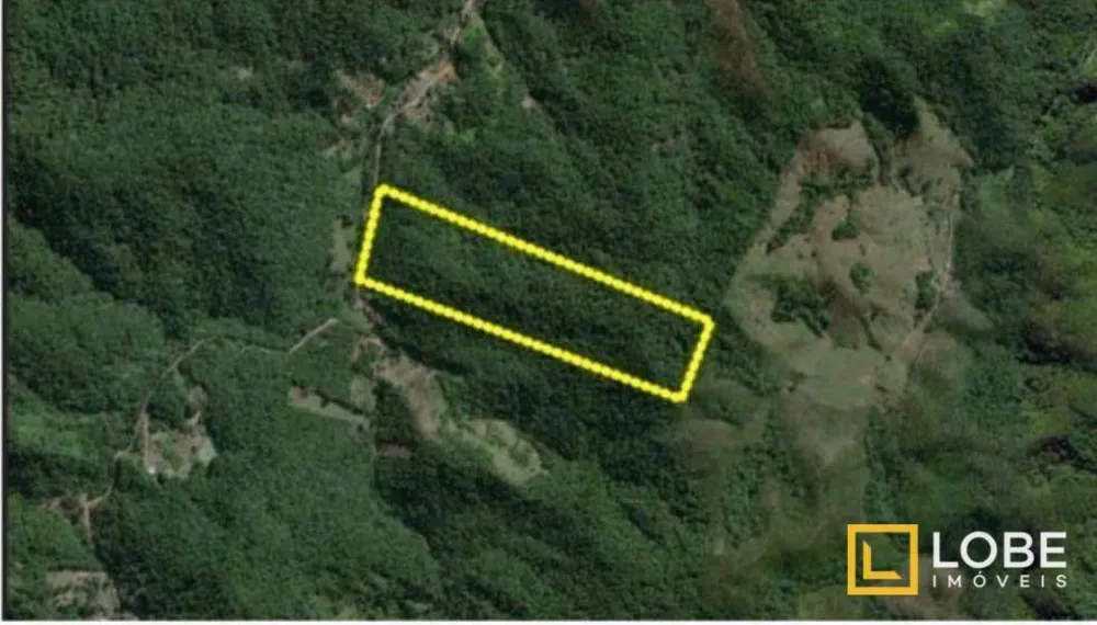 Terreno, 18 hectares - Foto 4
