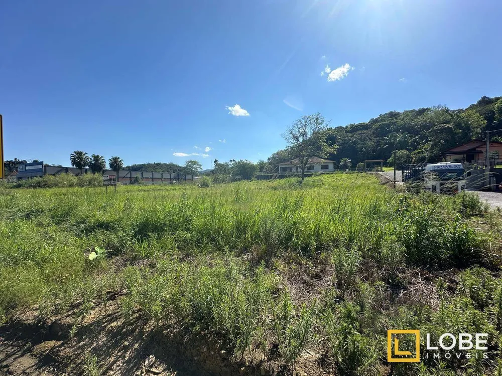 Terreno, 2 hectares - Foto 3