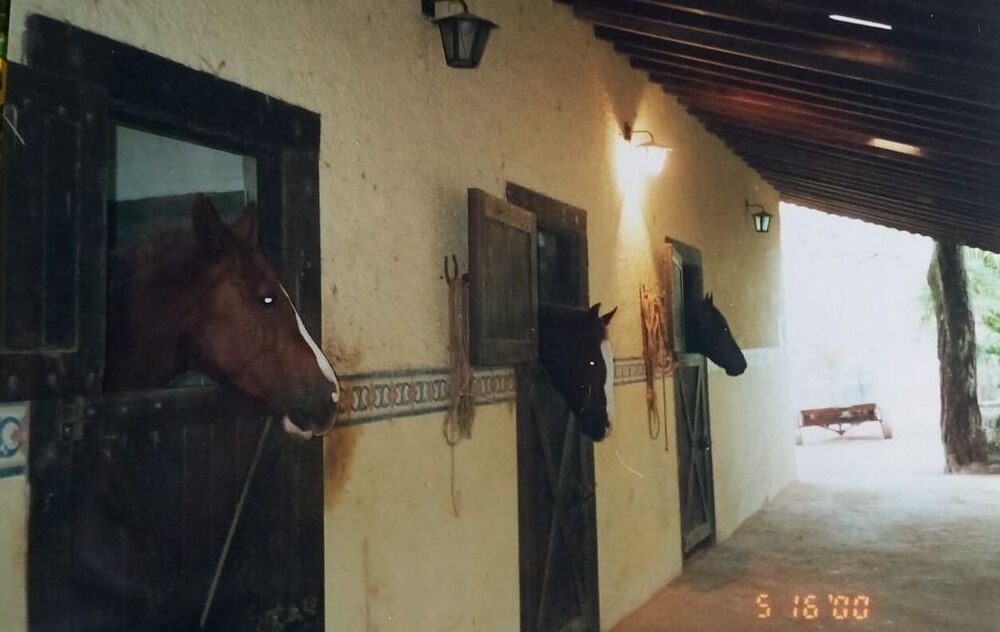 Sítio, 15 quartos, 14 hectares - Foto 20