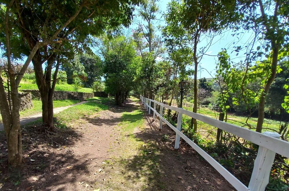 Sítio, 15 quartos, 14 hectares - Foto 25