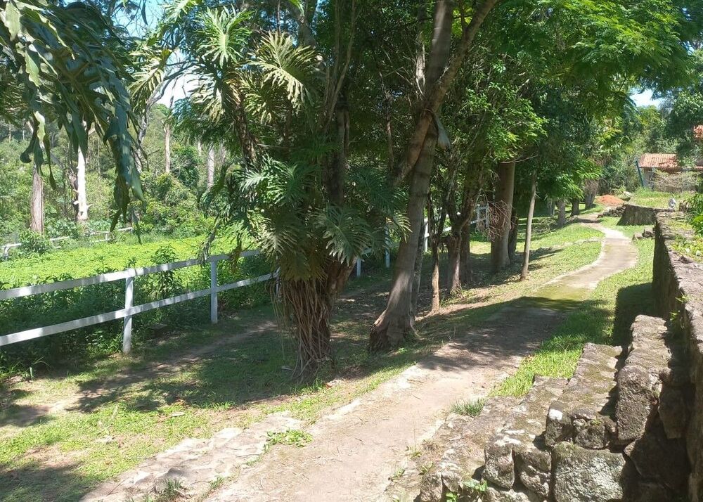 Sítio, 15 quartos, 14 hectares - Foto 24