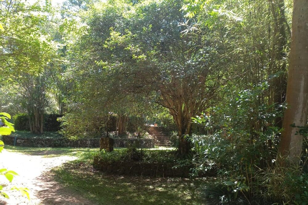 Sítio, 15 quartos, 14 hectares - Foto 26