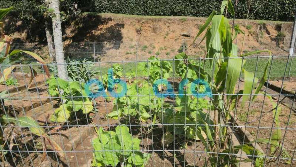 Casa, 5 quartos, 5000 m² - Foto 14