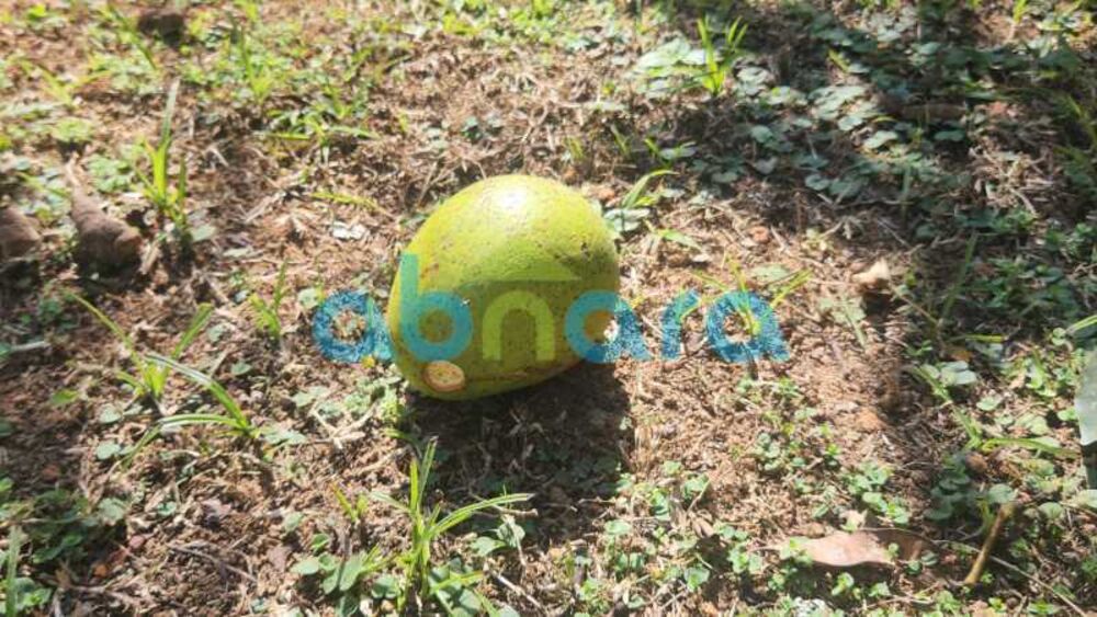 Casa, 5 quartos, 5000 m² - Foto 11