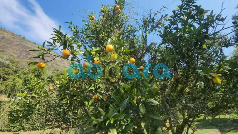 Casa, 5 quartos, 5000 m² - Foto 9