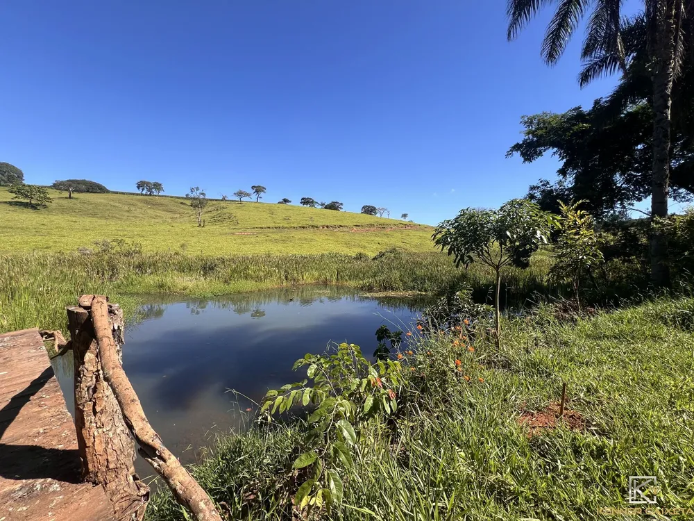 Chácara, 3 quartos, 3 hectares - Foto 4