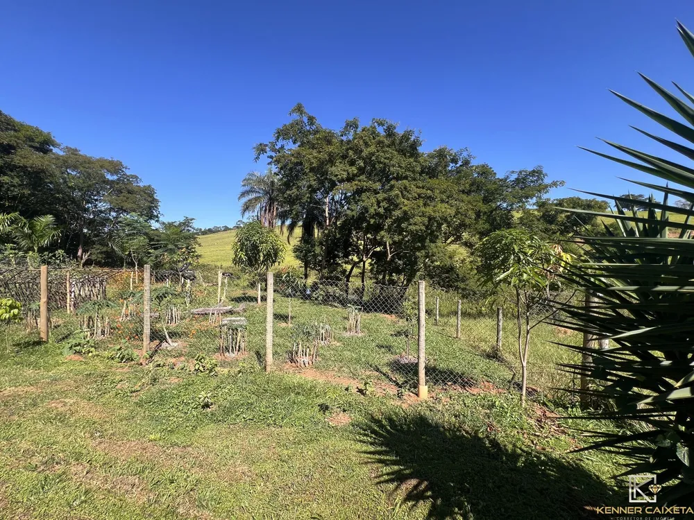 Chácara, 3 quartos, 3 hectares - Foto 8
