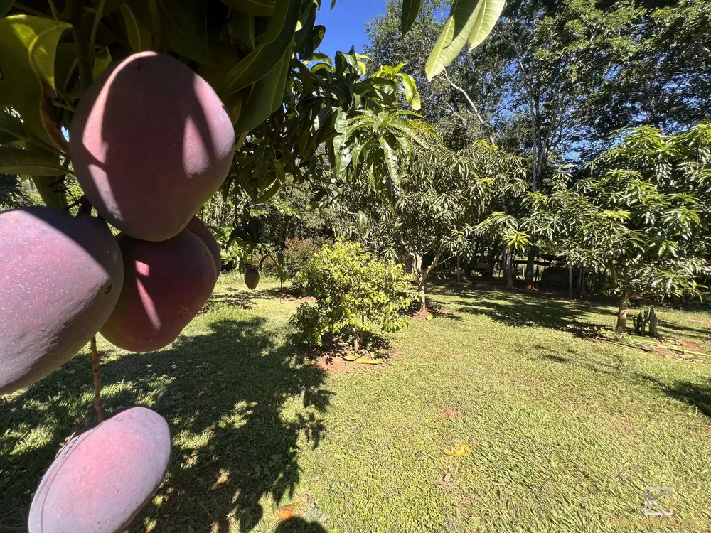 Sítio, 3 quartos, 3 hectares - Foto 8