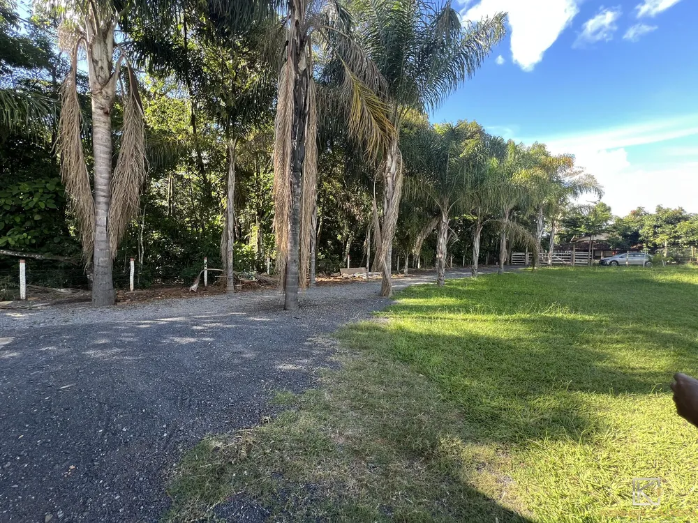 Chácara, 2 quartos, 2000 m² - Foto 5