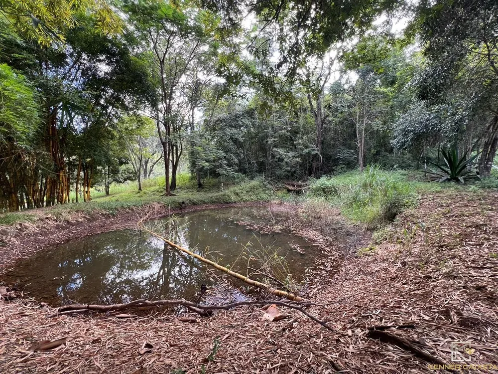 Chácara, 4 quartos, 5 hectares - Foto 8