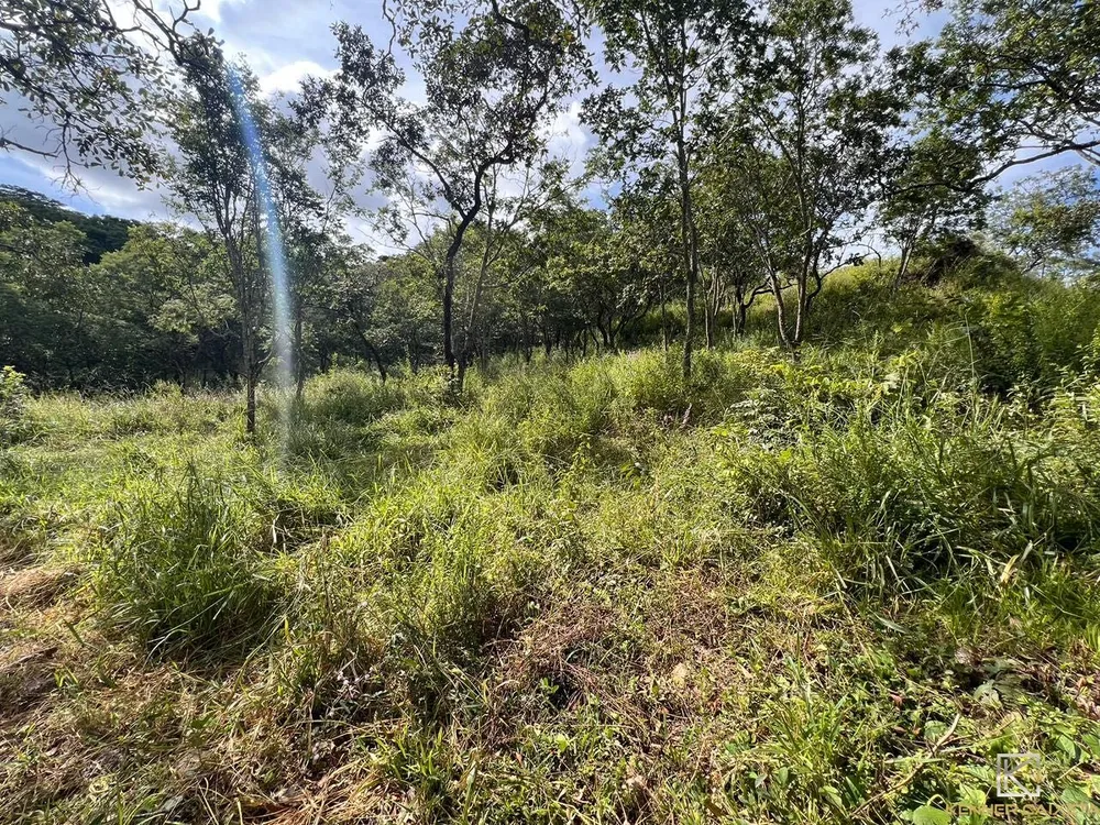Chácara, 4 quartos, 5 hectares - Foto 6