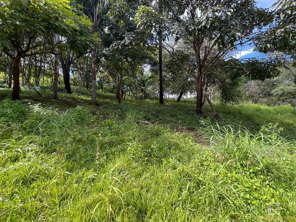 Chácara, 4 quartos, 5 hectares - Foto 9