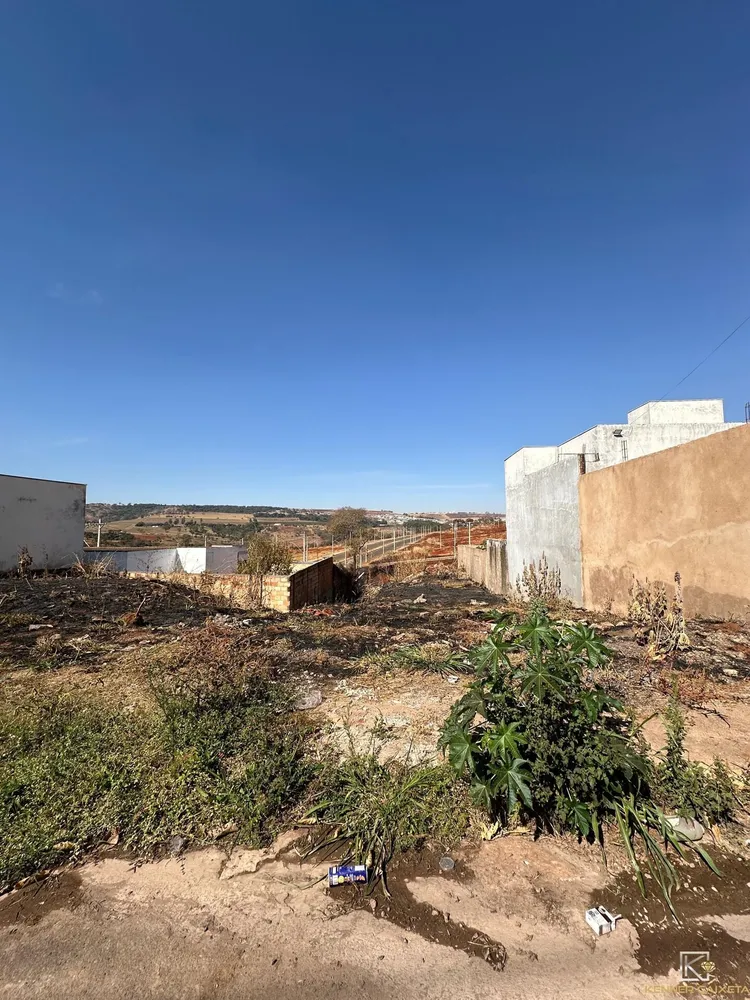 Terreno, 4 hectares - Foto 3