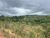Fazenda-Sítio-Chácara, 9 hectares - Foto 2